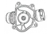 Термостат для автомобилей BMW X5 (E70) (07-)/X6 (E71) (08-) D (c корпусом) (LT 26103)